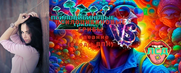 первитин Балахна