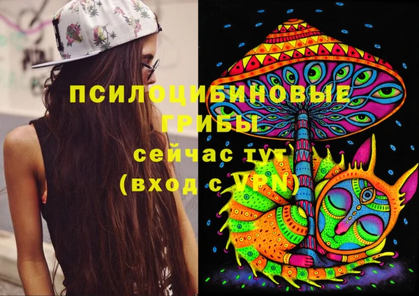 прущие крисы Баксан